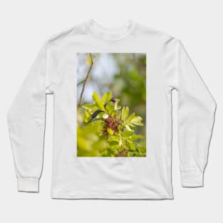 Yellow-rumped Warbler Long Sleeve T-Shirt